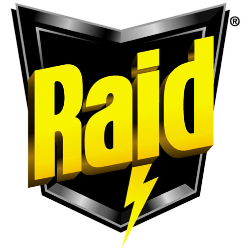 Raid